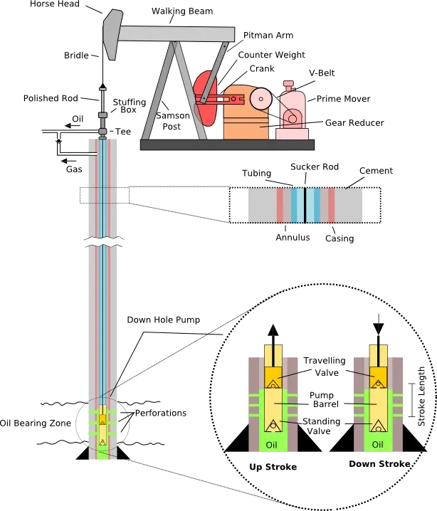 Labelled diagram of a rod pump well showing the pumpjack, polished rod, sucker rods inside tubing and casing, and the downhole pump's travelling and standing valves